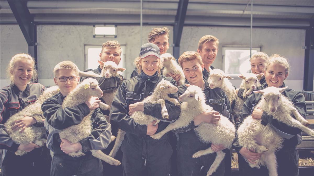 Naturbruks-elever poserer med lamunger. Foto. - Klikk for stort bilde