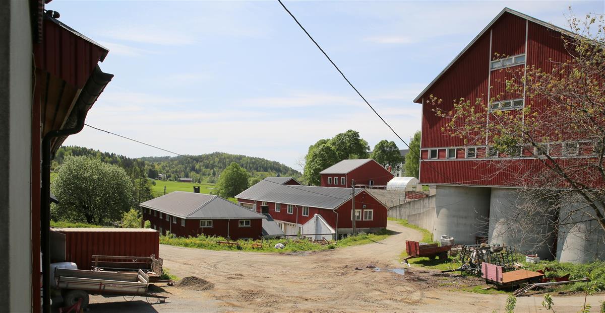 Gårdsbygninger og snuplass. Foto. - Klikk for stort bilde